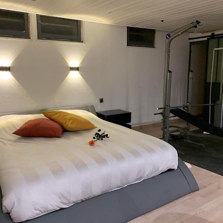 Joli Loft Dans Villa A Cornas Eksteriør billede